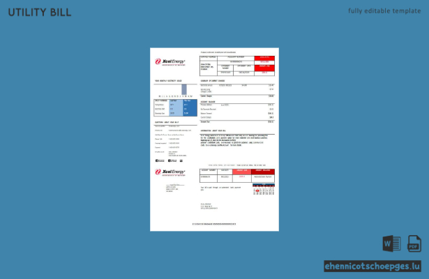 USA XcelEnergy Stromrechnung – Beispieltext (Vorschau)